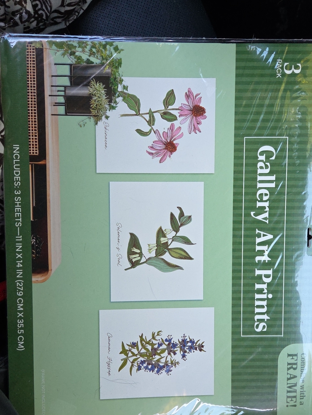 Gallery Art Prints. Floral Trio. NIP.
